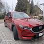 Mazda CX-5 SKYACTIV-D 184 AWD SCR Sports-Line - thumbnail 3
