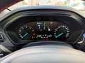 Ford Focus Focus Turnier 1,0 EcoBoost Hybrid ST-Line Grau - thumbnail 9