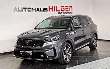 Spirit 4WD Hybrid*360K*Pano*BOSE*Virtual