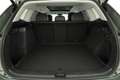 Volkswagen Tayron 1.5 TSI eHybrid 150 kW Life Life, Leder, Pano, ... Grün - thumbnail 12