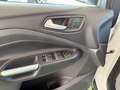 Ford Kuga 1.5 tdci Titanium s&s 2wd 120cv Bianco - thumbnail 12