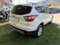 Ford Kuga 1.5 tdci Titanium s&s 2wd 120cv Bianco - thumbnail 6