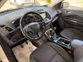 Ford Kuga 1.5 tdci Titanium s&s 2wd 120cv Bianco - thumbnail 8