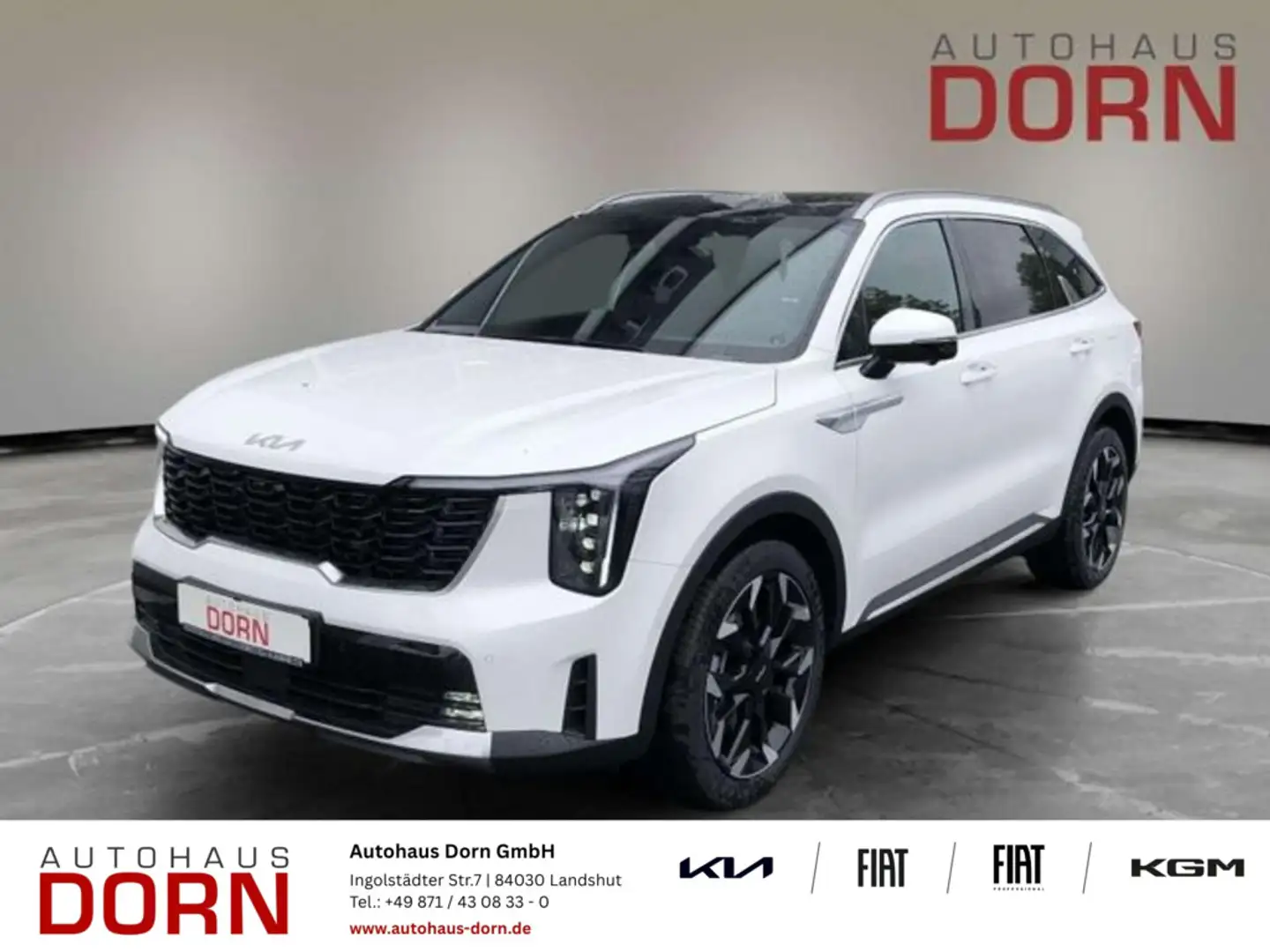 Kia Sorento Platinum 2.2D AWD 7-Sitzer 360 -Kamera u Weiß - 1