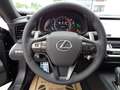 Lexus LC 500 Cabrio Performance Paket Серый - thumbnail 11