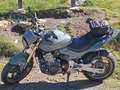 Honda Hornet Grigio - thumbnail 7