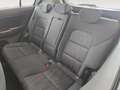 Kia Sportage 1.6 crdi mhev Business Class 2wd 136cv dct - thumbnail 17