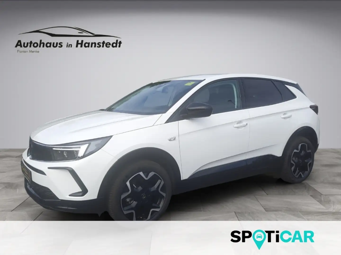 Opel Grandland 1.5 Diesel GS 131PS 8-AT AHK Navi LED 360 Kamera R Weiß - 1