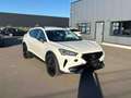 CUPRA Formentor 2.0 TDI DSG 4Drive AHK TOTW. eKLAPPE Blanc - thumbnail 5