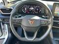 CUPRA Formentor 2.0 TDI DSG 4Drive AHK TOTW. eKLAPPE Blanc - thumbnail 15