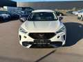 CUPRA Formentor 2.0 TDI DSG 4Drive AHK TOTW. eKLAPPE Blanc - thumbnail 4