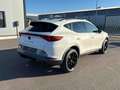 CUPRA Formentor 2.0 TDI DSG 4Drive AHK TOTW. eKLAPPE Blanc - thumbnail 7