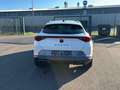 CUPRA Formentor 2.0 TDI DSG 4Drive AHK TOTW. eKLAPPE Blanc - thumbnail 8