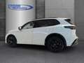 Volkswagen Tiguan 1.5 eTSI "R-LINE" 150 PS DSG+NAVI PRO+PANORAMA+AHK Weiß - thumbnail 3