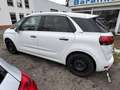 Citroen C4 Picasso C4 Picasso VTi 120 Intensive Weiß - thumbnail 5