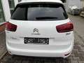 Citroen C4 Picasso C4 Picasso VTi 120 Intensive Weiß - thumbnail 3