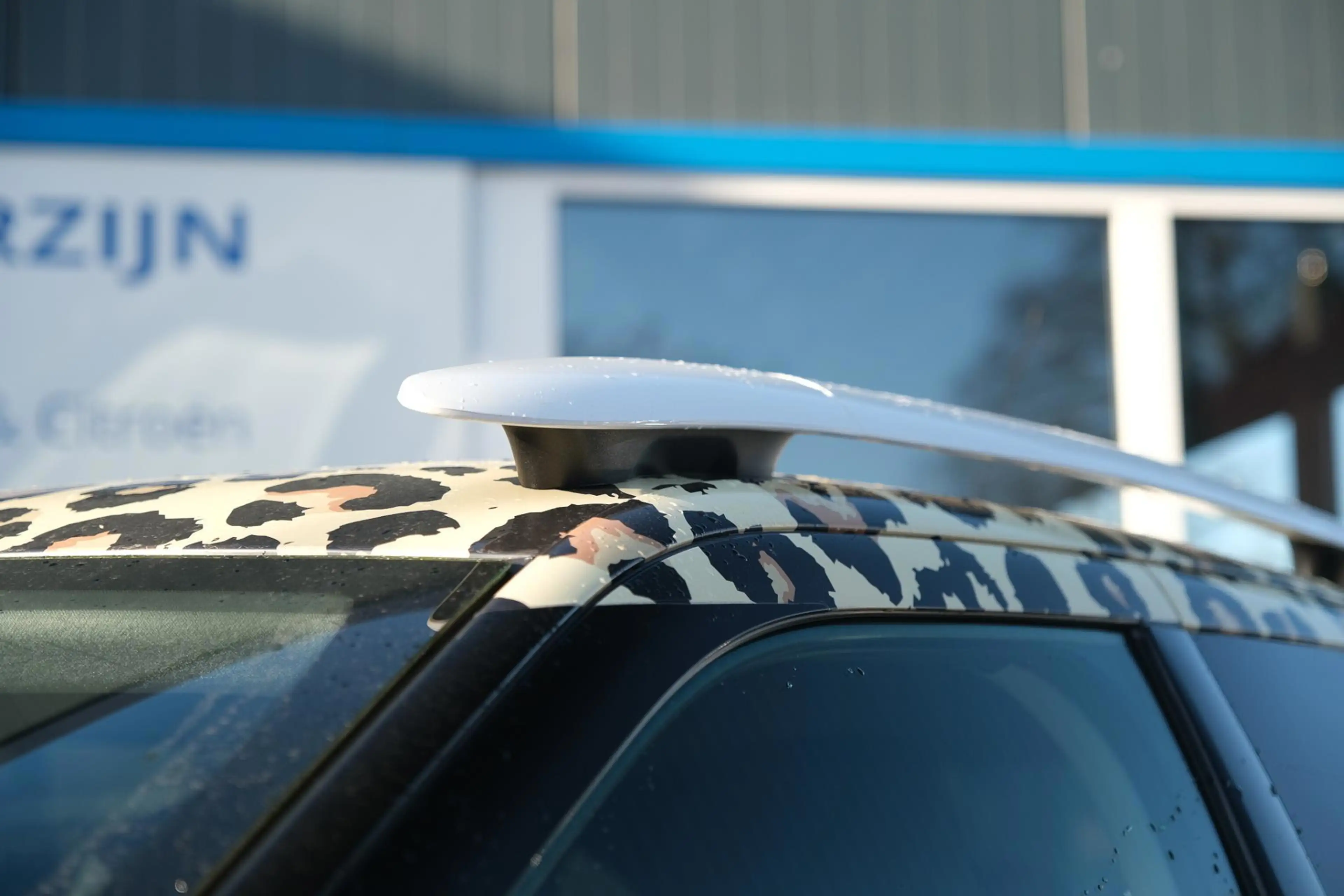 Citroen C4 Cactus 1.2 PureTech W — photo 8