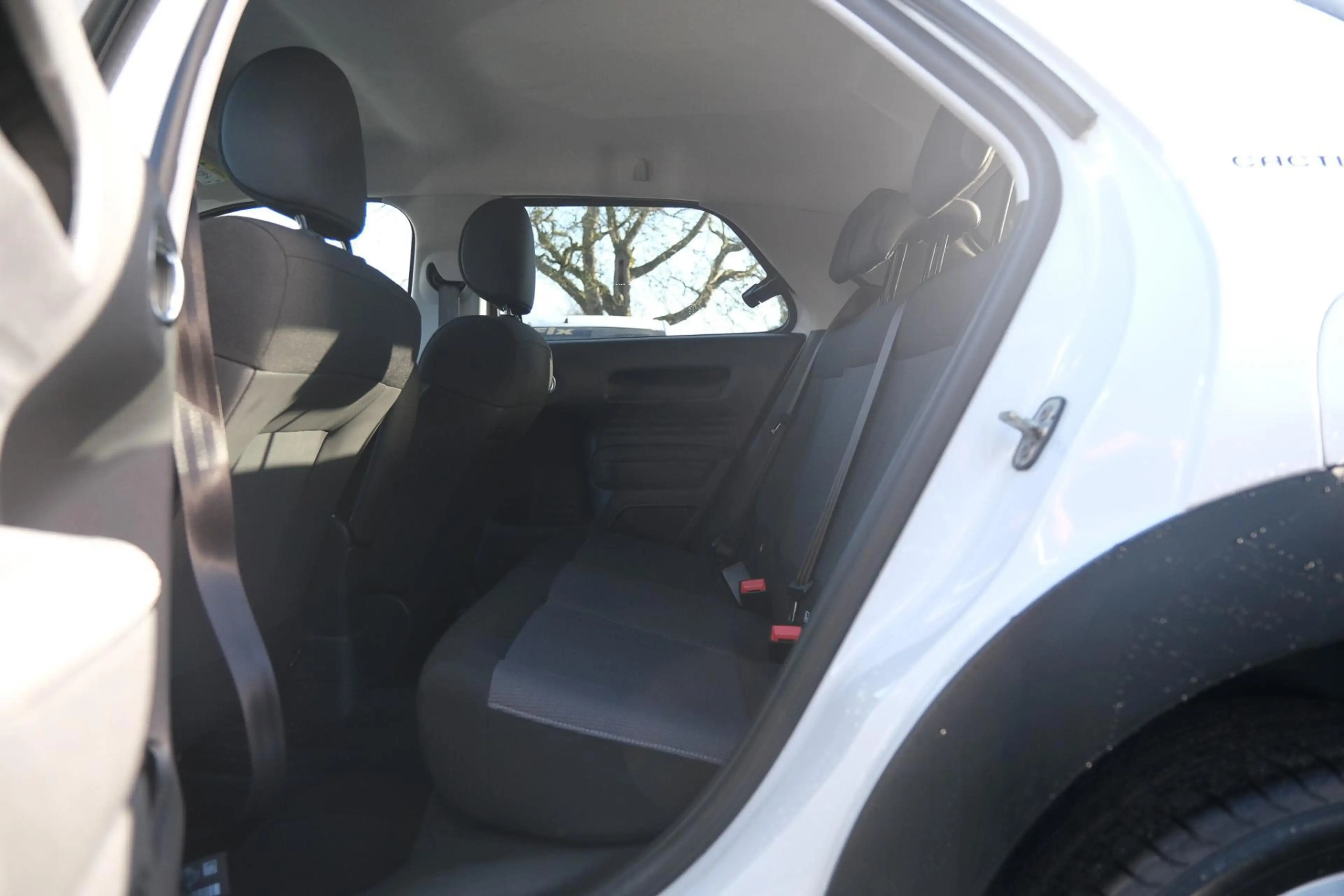 Citroen C4 Cactus 1.2 PureTech W — photo 33