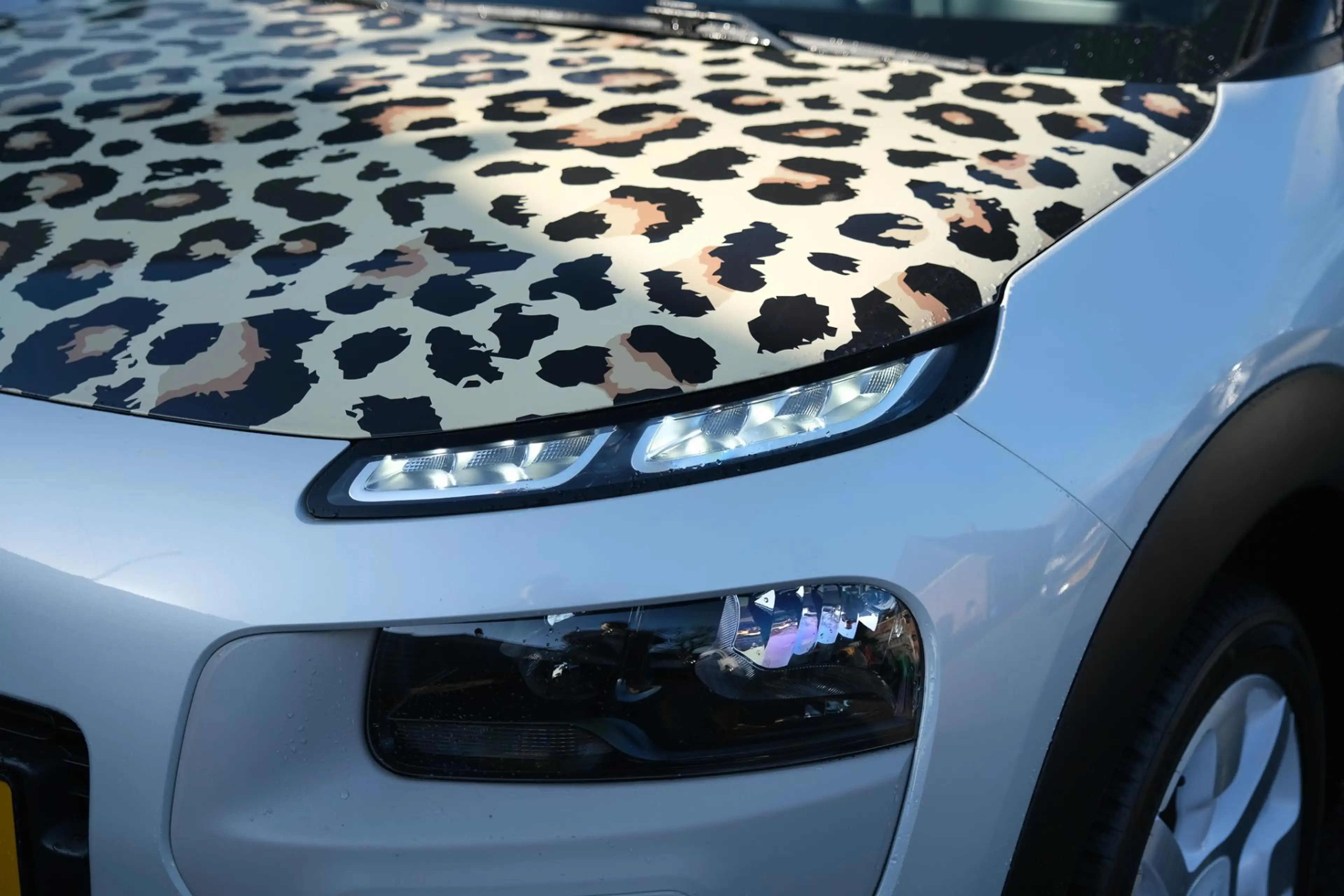 Citroen C4 Cactus 1.2 PureTech W — photo 7