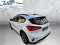 Ford Focus Active Bianco - thumbnail 7