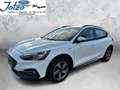 Ford Focus Active Bianco - thumbnail 1