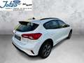 Ford Focus Active Bianco - thumbnail 5