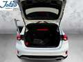 Ford Focus Active Bianco - thumbnail 14