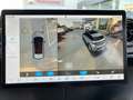 BYD Dolphin Design MY2025 Grau - thumbnail 15