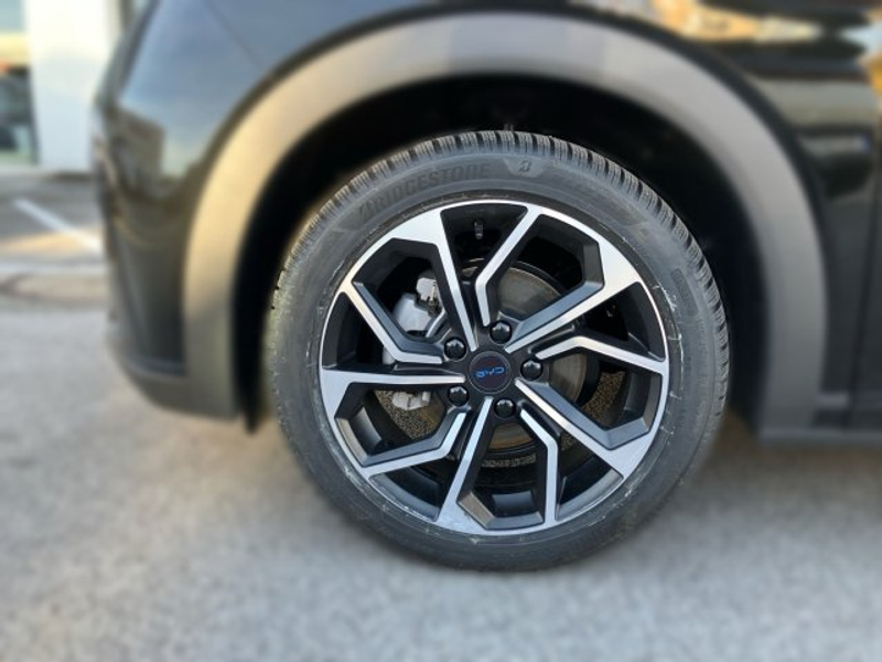 BYD Dolphin Design MY2025 — photo 5