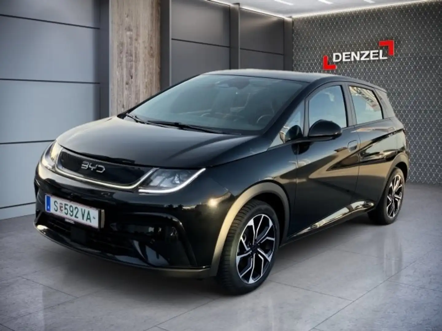 BYD Dolphin Design MY2025 Grau - 1