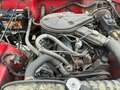 Jeep CJ-7 4,2l 6 Zylinder,Schaltgetriebe Rood - thumbnail 10