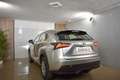 Lexus NX 300h 2.5 Corporate 2WD + Navibox Gris - thumbnail 19