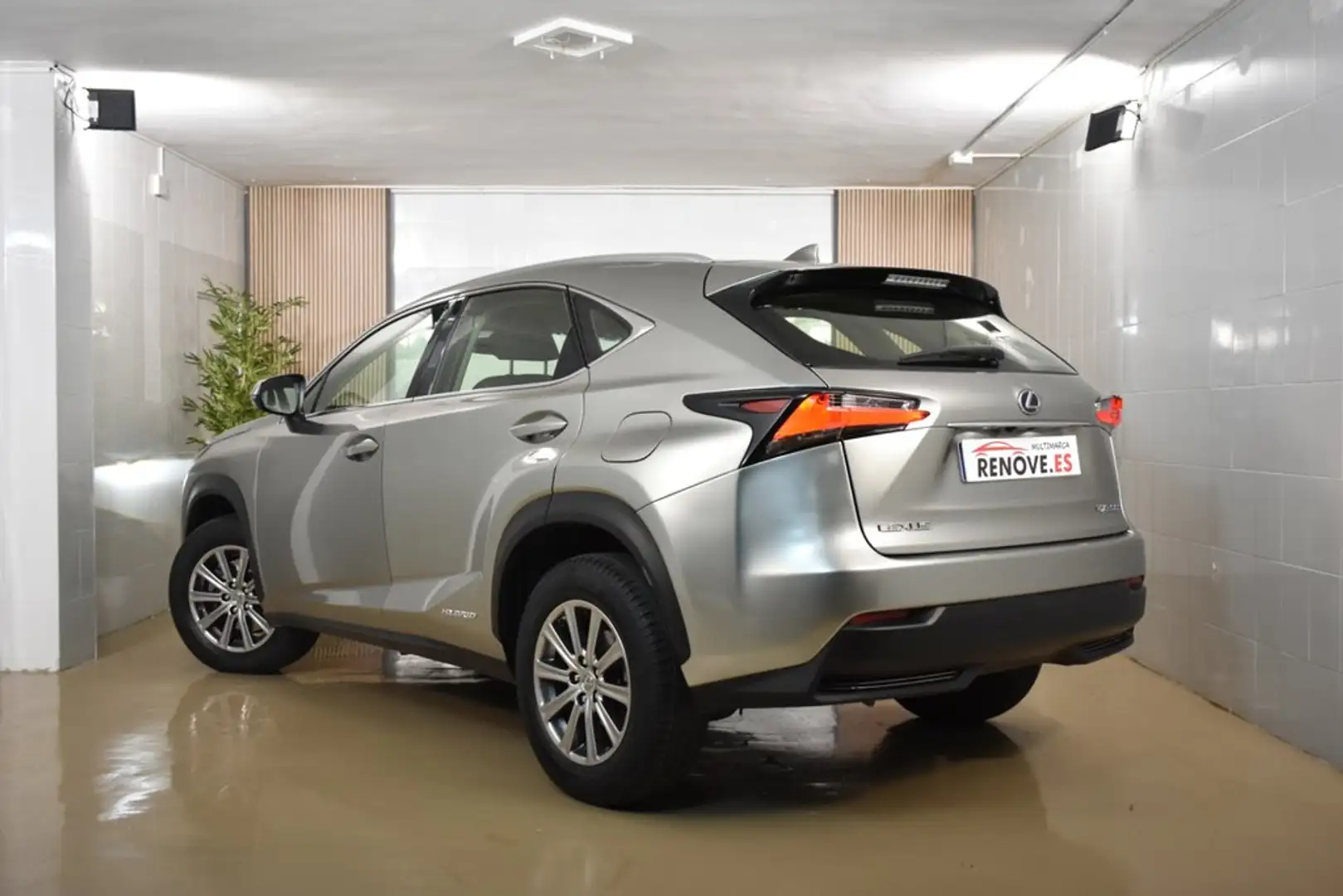 Lexus NX 300h 2.5 Corporate 2WD + Navibox Gris - 2