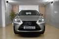 Lexus NX 300h 2.5 Corporate 2WD + Navibox Gris - thumbnail 14