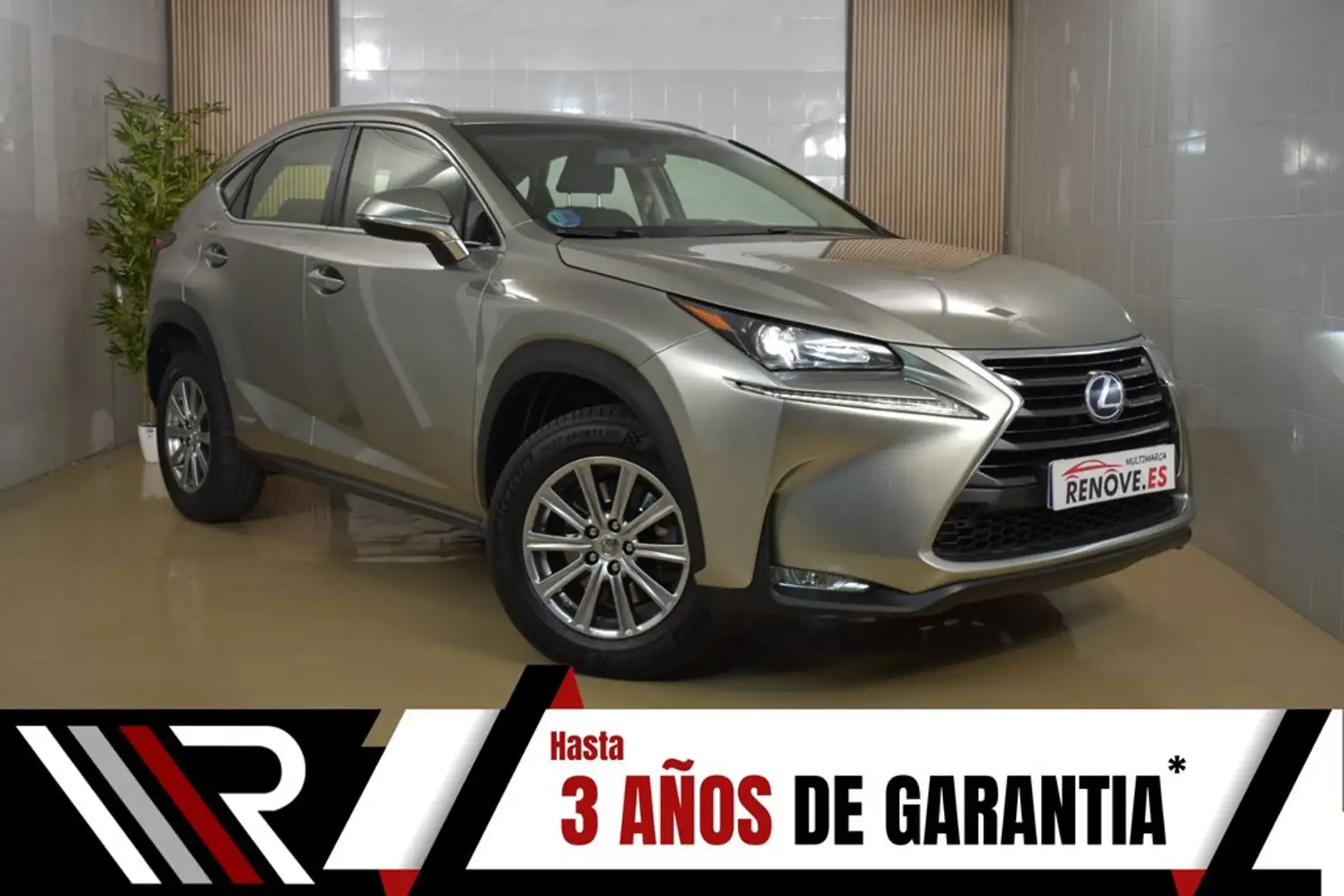 Lexus NX 300h 2.5 Corporate 2WD + Navibox Gris - 1