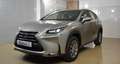Lexus NX 300h 2.5 Corporate 2WD + Navibox Gris - thumbnail 16