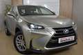 Lexus NX 300h 2.5 Corporate 2WD + Navibox Gris - thumbnail 9