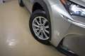 Lexus NX 300h 2.5 Corporate 2WD + Navibox Gris - thumbnail 11