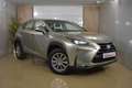 Lexus NX 300h 2.5 Corporate 2WD + Navibox Gris - thumbnail 8