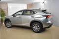 Lexus NX 300h 2.5 Corporate 2WD + Navibox Gris - thumbnail 22