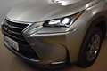 Lexus NX 300h 2.5 Corporate 2WD + Navibox Gris - thumbnail 18