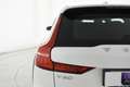 Volvo V60 Cross Country 2.0 b4 Core awd auto CAMERA+FULL LED Білий - thumbnail 50