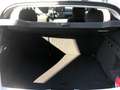 Dacia Sandero Stepway 1.0 tce Expression UP 100cv PREZZO REALE Bianco - thumbnail 10