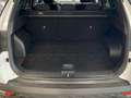 Hyundai TUCSON 1.6 CRDI MHEV 100KW MAXX 5P Blanco - thumbnail 10