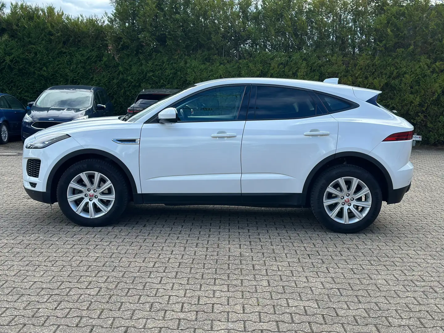 Jaguar E-Pace D150 Weiß - 2