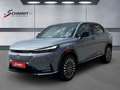 Honda e:Ny1 e Ny1 Advance Paket E NY1 (2024) ADVANCE P Grau - thumbnail 1