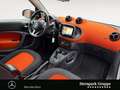 smart forTwo fortwo cabrio passion NAVI*EINPARKHILFE*LED*SHZ* Weiß - thumbnail 15