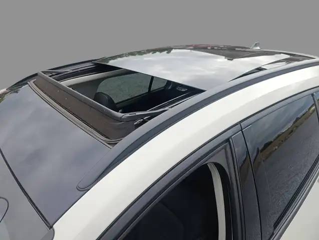 Ford Focus view 12