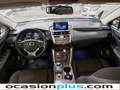 Lexus NX 300 300h Corporate 2WD Gris - thumbnail 6