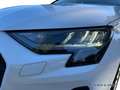 Audi A3 30 TFSI CarPlay/SHZ/VC/Ambiente/GRA Bianco - thumbnail 14